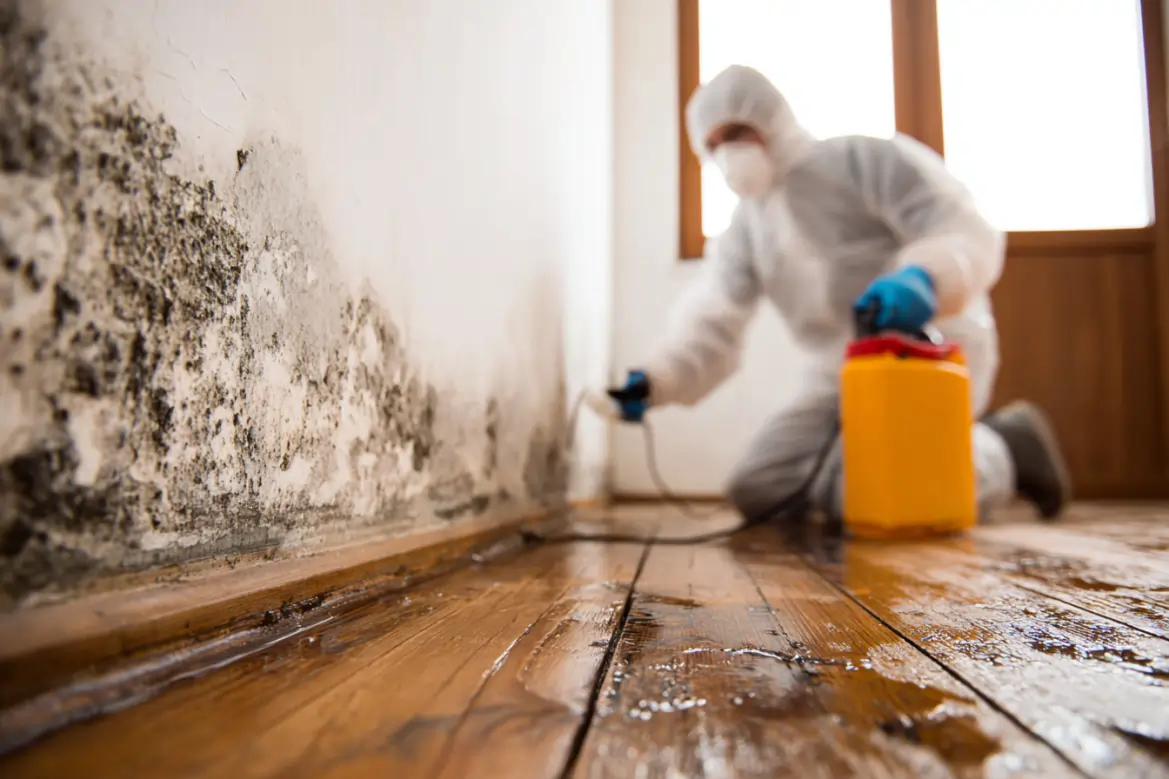 residential mold removal